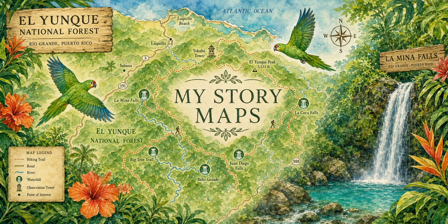 Illustrated banner of El Yunque National Forest